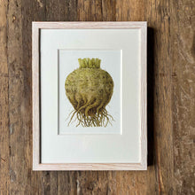 Load image into Gallery viewer, Celeriac - Small - Christine Stephenson