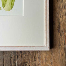 Load image into Gallery viewer, Celery - Medium - Christine Stephenson