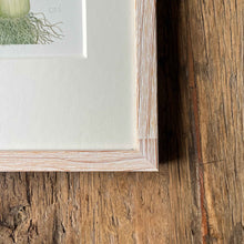 Load image into Gallery viewer, Leek - Small - Christine Stephenson