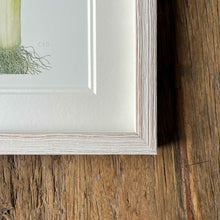 Load image into Gallery viewer, Leek - Square - Christine Stephenson