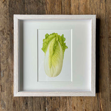 Load image into Gallery viewer, Napa Cabbage - Square - Christine Stephenson