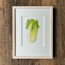Load image into Gallery viewer, Napa Cabbage - Small - Christine Stephenson