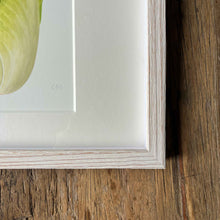 Load image into Gallery viewer, Napa Cabbage - Square - Christine Stephenson