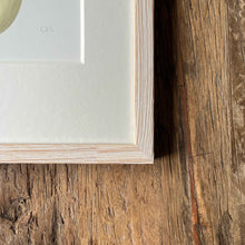 Load image into Gallery viewer, Napa Cabbage - Small - Christine Stephenson