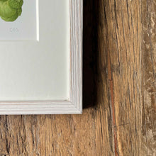 Load image into Gallery viewer, Sprouts - Small - Christine Stephenson