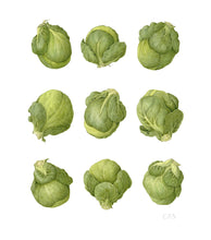Load image into Gallery viewer, Sprouts - Small - Christine Stephenson