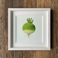 Load image into Gallery viewer, Turnip - Square - Christine Stephenson