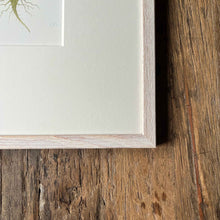 Load image into Gallery viewer, Turnip - Medium - Christine Stephenson