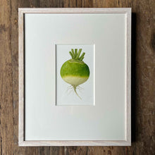 Load image into Gallery viewer, Turnip - Medium - Christine Stephenson