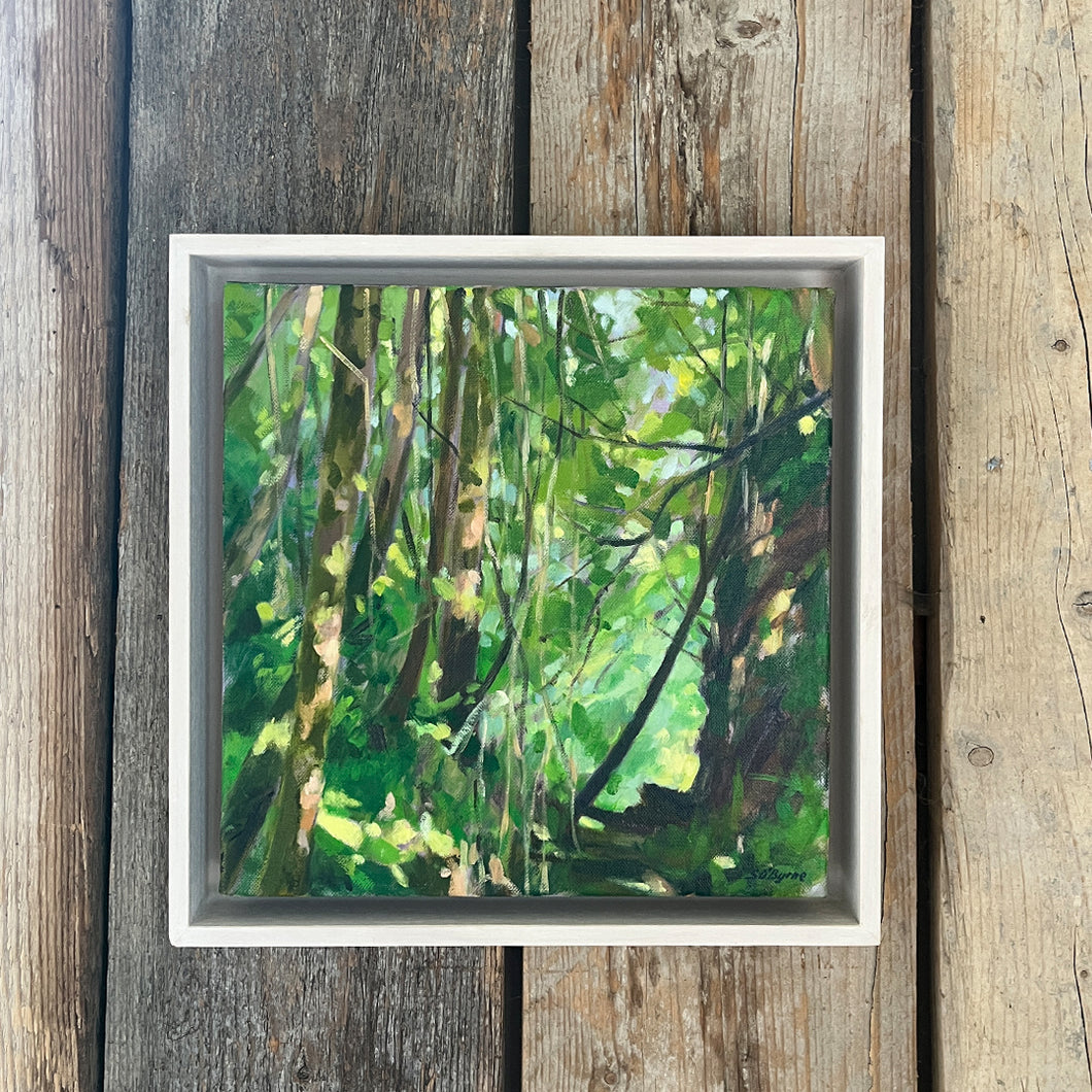 Woodland Vines