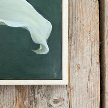 Load image into Gallery viewer, Zantedeschia 1
