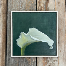 Load image into Gallery viewer, Zantedeschia 1
