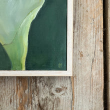 Load image into Gallery viewer, Zantedeschia 2
