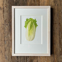 Load image into Gallery viewer, Napa Cabbage - Small - Christine Stephenson
