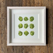Load image into Gallery viewer, Brussels Sprouts - Square - Christine Stephenson
